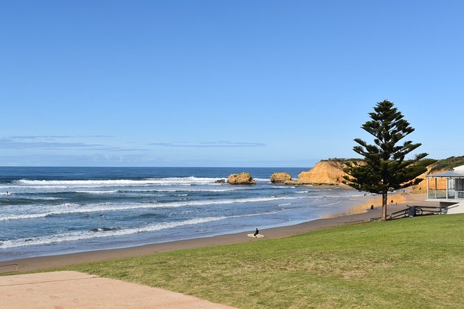 Great Ocean Road Tour Plus Koalas, Forest Walk and Morning Tea - Apollo Bay is your main meal and swim break