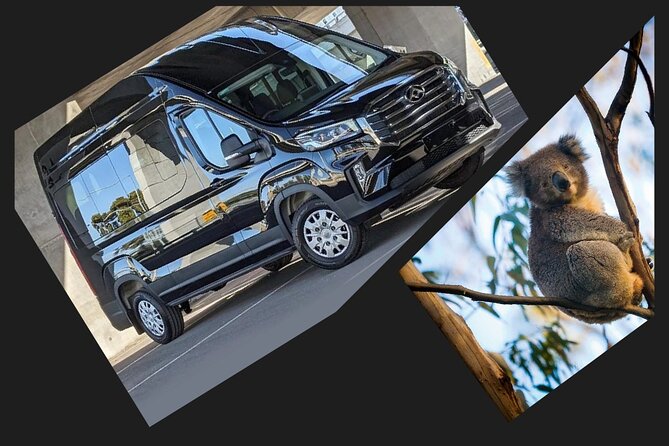 Great Ocean Road Tour Reverse –SML GRP-DLUX Mini Bus Hotel Pickup - Port Campbell National Park and the rainforest stop