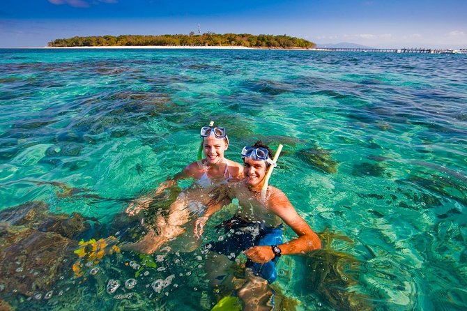 Green Island Half-Day Trip from Cairns - The Reef Experience: Beautiful, But Not Guaranteed