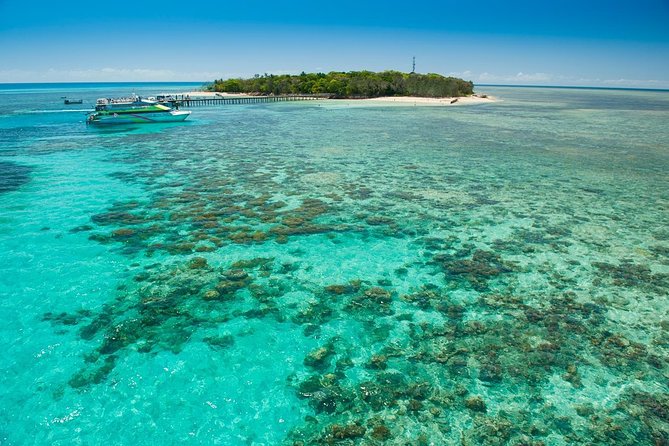 Green Island Half-Day Trip from Cairns - Who Should Book This Half-Day Trip?