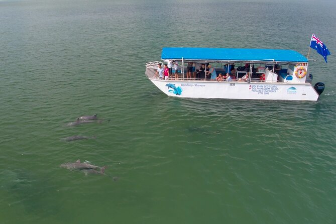 Guided Dolphin Eco-Cruise in Koombana Bay - A conservation trip, not just a boat ride