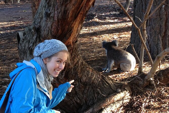 Guided Koala Walk and Bushfire ecology tour - Walking into Hanson Bay’s koala country