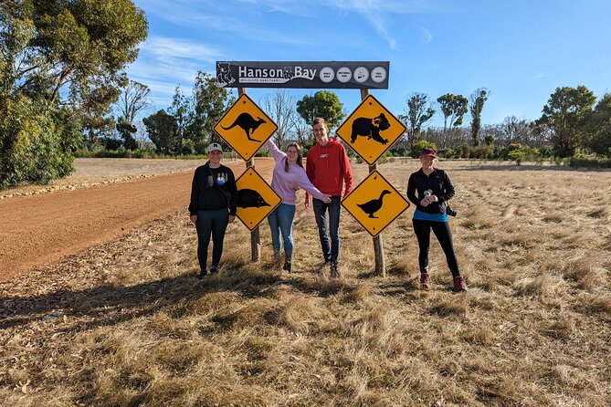 Guided Koala Walk and Bushfire ecology tour - A good fit for families, nature fans, and curious first-time visitors