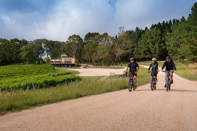 Hahndorf food and wine E-Bike Tour - Shaw and Smith brings a five-wine flight