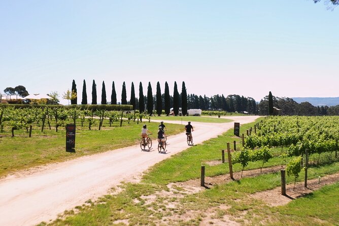 Hahndorf food and wine E-Bike Tour - What $182.90 represents in real value