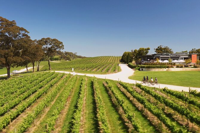 Hahndorf food and wine E-Bike Tour - Who will enjoy this tour most
