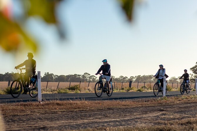 Half Day E-Bike Hire Echuca - Echuca Scenic Trail, Horseshoe Lagoon, and Banuyle Forest