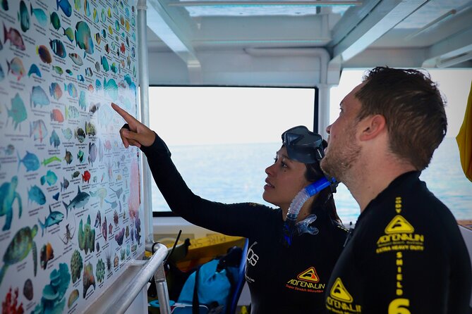 Half Day Great Barrier Reef Snorkeling Tour - What your time in the water looks like
