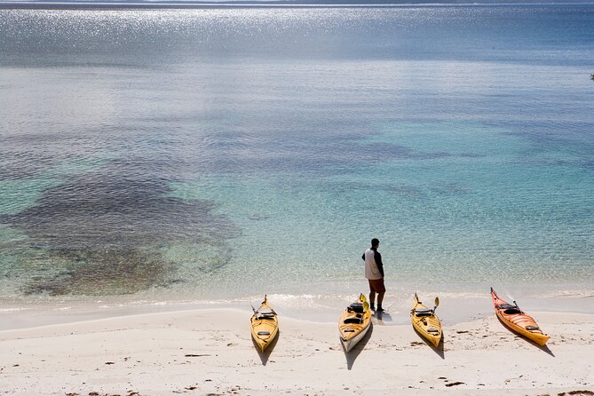 Half-Day Jervis Bay Sea Kayak Tour - Along the Booderee National Park coast