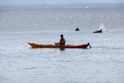 Half-Day Jervis Bay Sea Kayak Tour