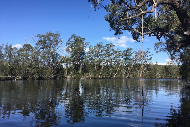 Half-Day Jervis Bay Sea Kayak Tour - Dane’s guiding style