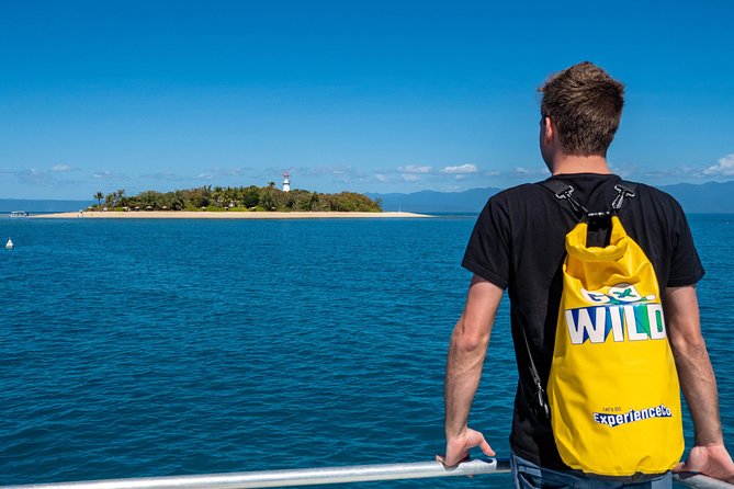 Half Day Low Isles Snorkelling Tour from Port Douglas - Why Low Isles works well for a first reef trip