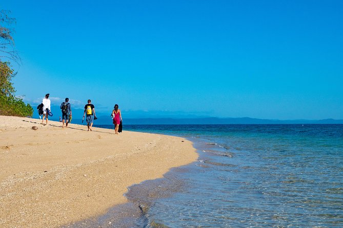 Half Day Low Isles Snorkelling Tour from Port Douglas - Snorkelling in the sheltered Low Isles lagoon