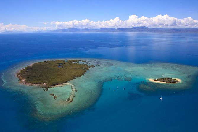 Half Day Low Isles Snorkelling Tour from Port Douglas - Snacks, coffee, and a sensible half-day finish