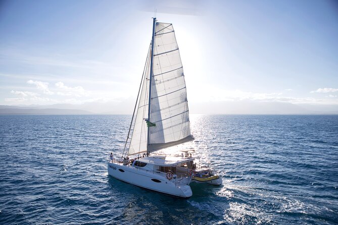 Half Day Low Isles Snorkelling Tour from Port Douglas - Who should choose this Low Isles tour?