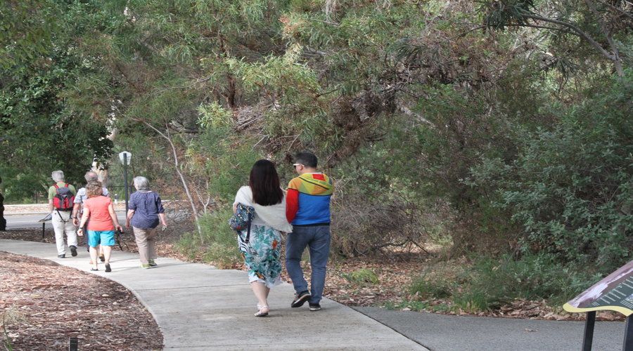 Half-Day Morning Perth & Fremantle City Explorer - Who should book this tour