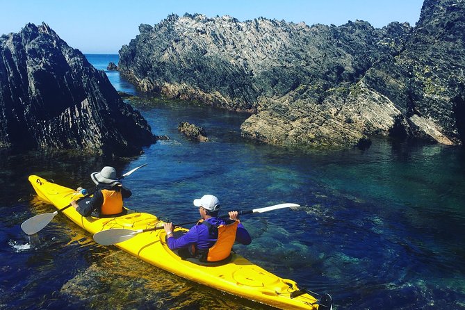 Half Day Sea Kayak Tour from Batemans Bay with Morning Tea - Region X and the value of local guidance