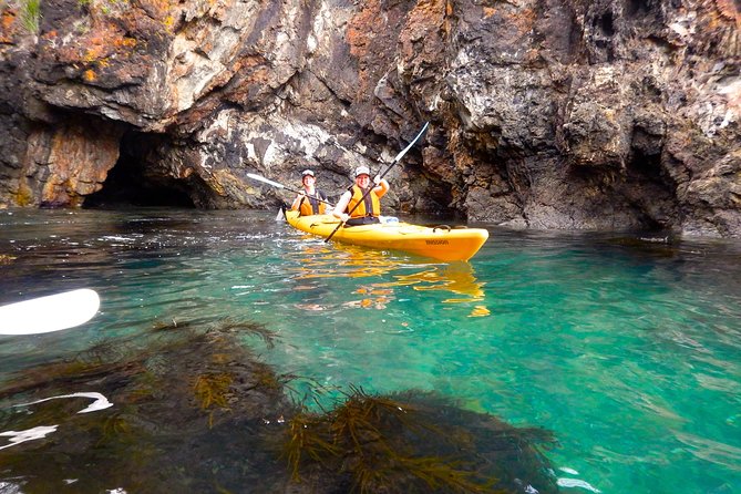 Half Day Sea Kayak Tour from Batemans Bay with Morning Tea - Is €106.24 good value?