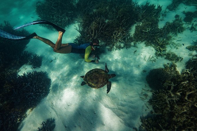 Half Day Snorkel 2.5hr Turtle Tour on the Ningaloo Reef, Exmouth - The boat ride to Ningaloo Marine Park