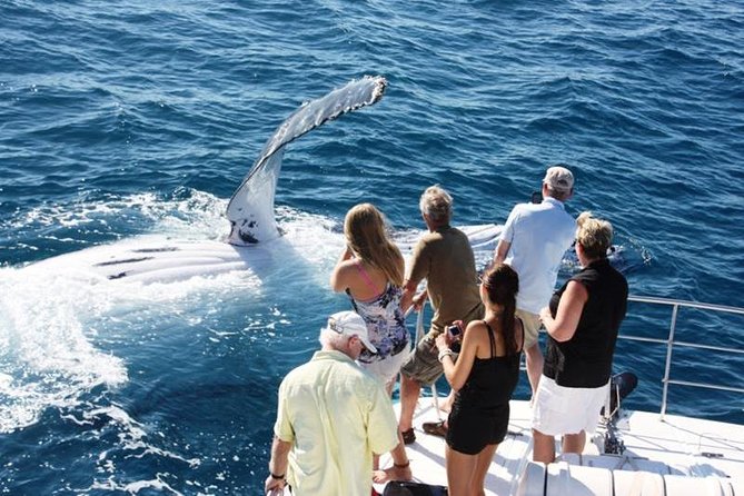 Half-Day Whale Watching Sunset Cruise from Broome - Key points before you book