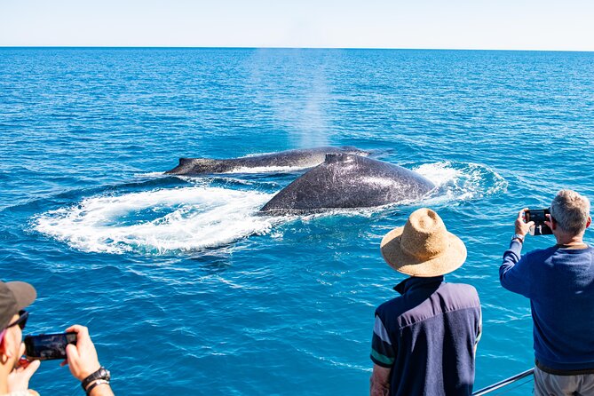 Half-Day Whale Watching Sunset Cruise from Broome - Snacks and drinks make the long afternoon easier