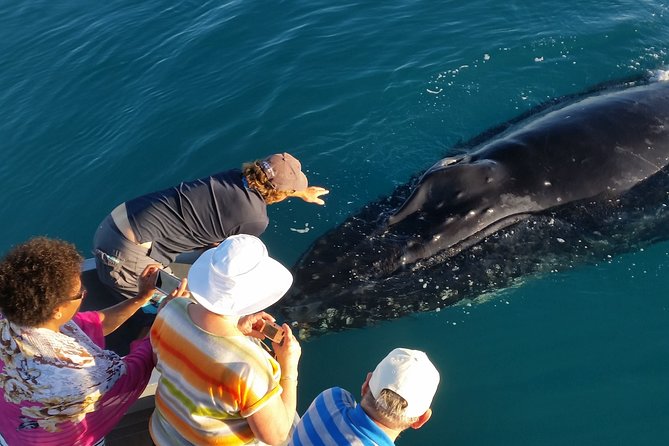 Half-Day Whale Watching Sunset Cruise from Broome - The sunset is more than a final photo stop