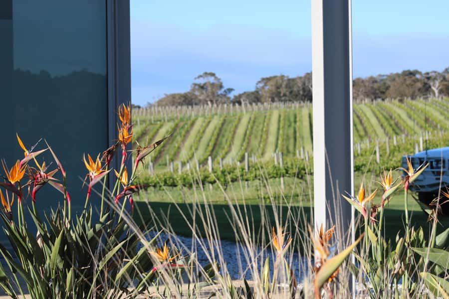 Half day Wine and Sights Discovery Tour Busselton - Key points at a glance