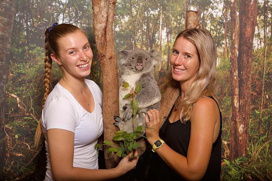 Hartley's Crocodile Adventures: Hartley's Koala Breakfast - Starting the morning beside Hartley’s lagoon