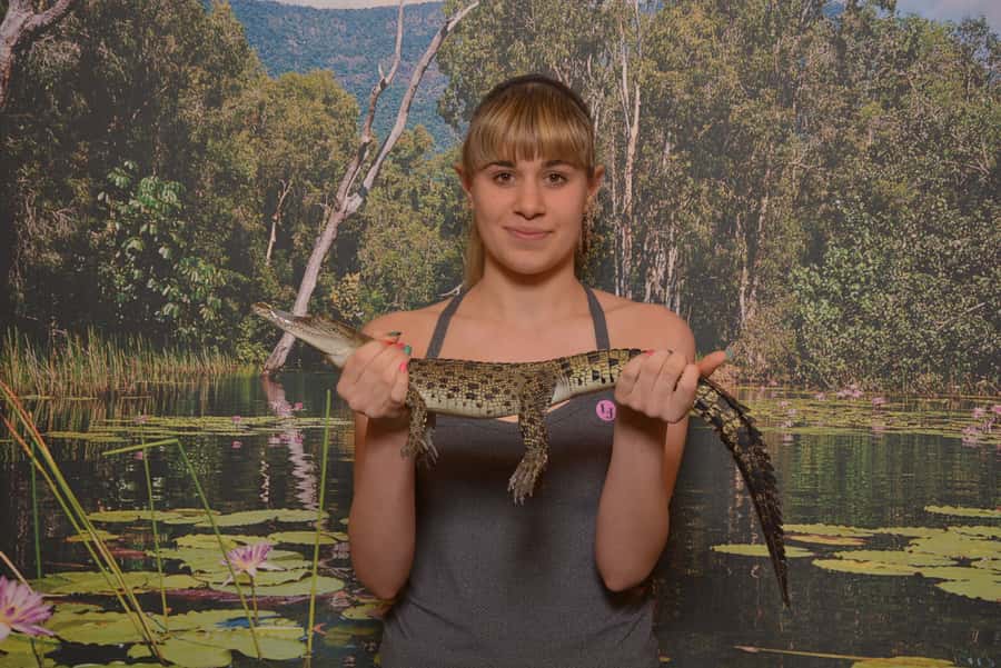 Hartley's Crocodile Adventures Park Entry - Key things to know before you go