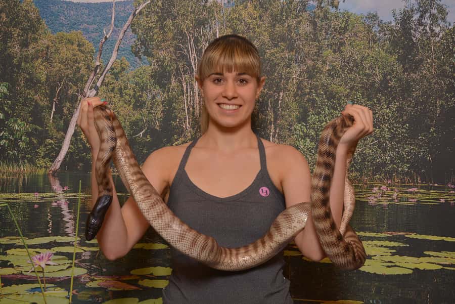 Hartley's Crocodile Adventures Park Entry - Watch the crocodile Attack Show