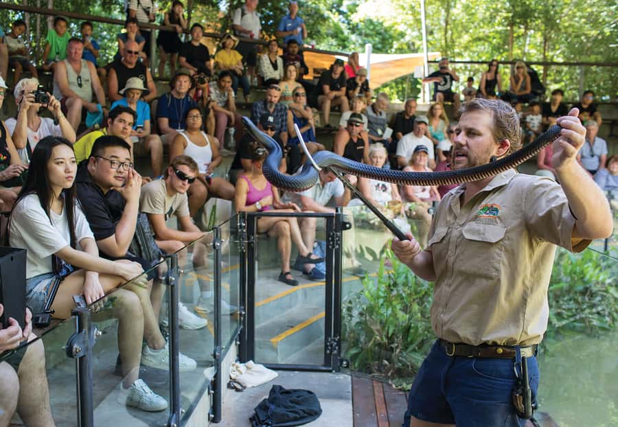 Hartley's Crocodile Adventures Park Entry - Make time for the snake presentation