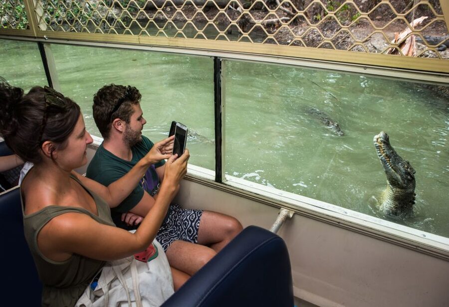 Hartley's Crocodile Adventures Park Entry - Follow the 2,500 meters of wildlife paths