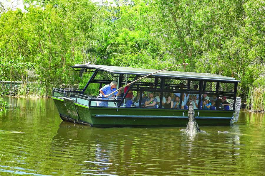 Hartley's Crocodile Adventures Park Entry - Start with the lagoon boat cruise