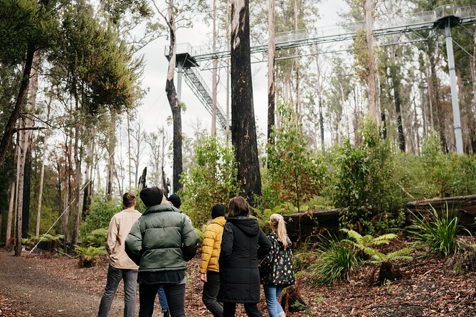 Hastings Caves, Tahune Airwalk and the Huon Tasting Trail - Key points at a glance