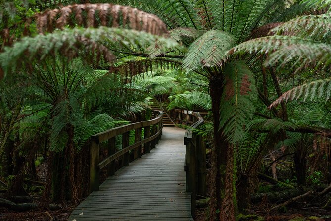 Hastings Caves, Tahune Airwalk and the Huon Tasting Trail - The Huon finish: cider, a paddle or apple pie