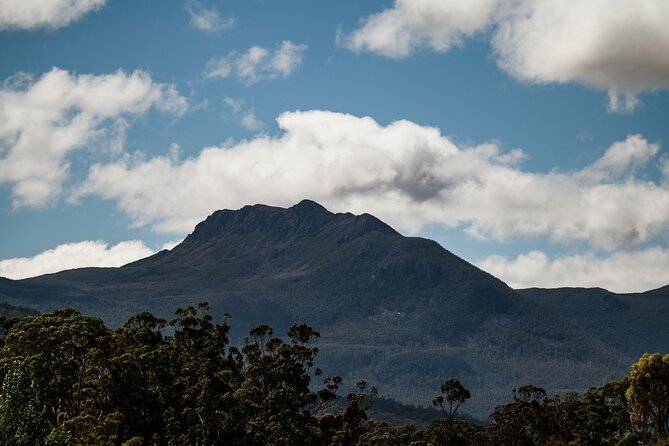 Hastings Caves, Tahune Airwalk and the Huon Tasting Trail - Is the $143.45 price good value?