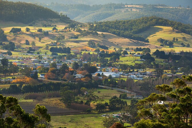 Hastings Caves, Tahune Airwalk and the Huon Tasting Trail - Practical tips for a smoother day