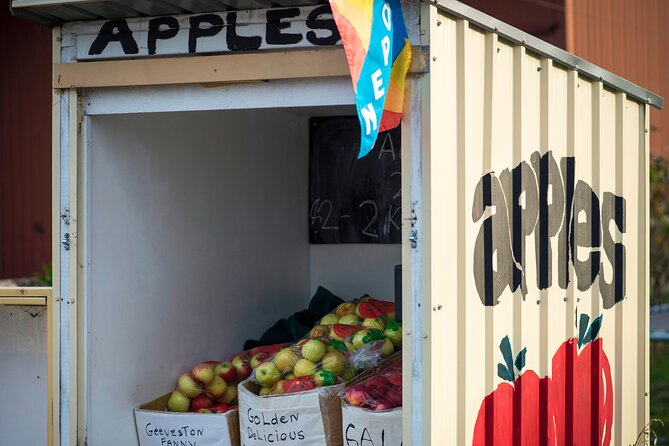 Hastings Caves, Tahune Airwalk and the Huon Tasting Trail - Two hours among the trees at Tahune Airwalk