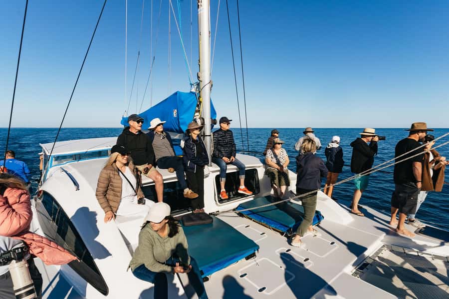 Hervey Bay: Exclusive Whale Watch Encounter - Hearing the whales through the hydrophone