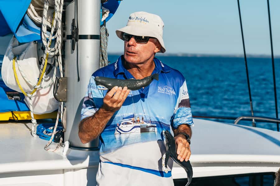 Hervey Bay: Exclusive Whale Watch Encounter - The in-water platform, with conditions attached
