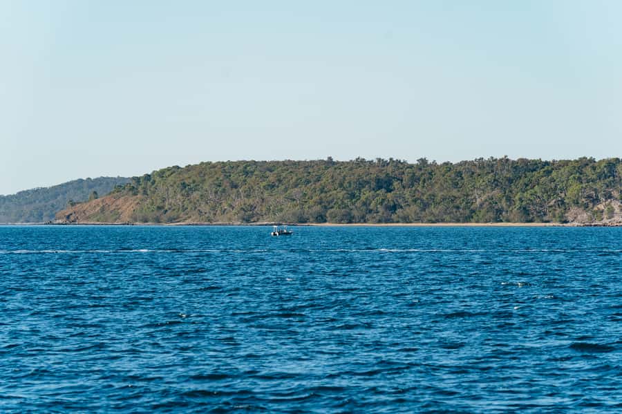 Hervey Bay: Exclusive Whale Watch Encounter - Who will enjoy this tour most