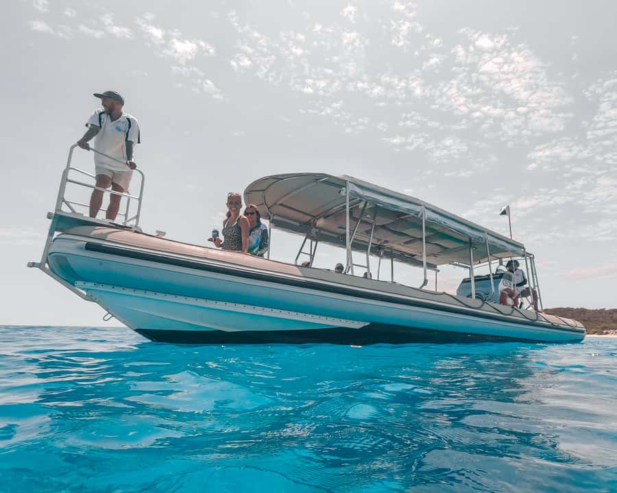 Hervey Bay: Half-Day Whale and Island Adventure by Boat - A small group keeps the wildlife viewing personal