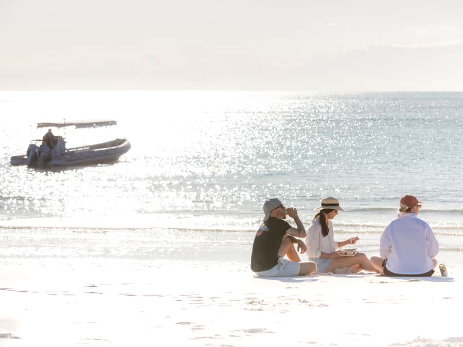 Hervey Bay: Half-Day Whale and Island Adventure by Boat - What the $116 price really covers