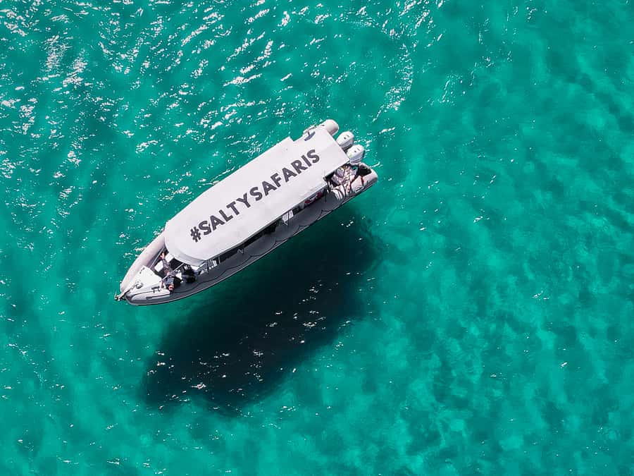 Hervey Bay: Half-Day Whale and Island Adventure by Boat - Practical tips for a smoother morning