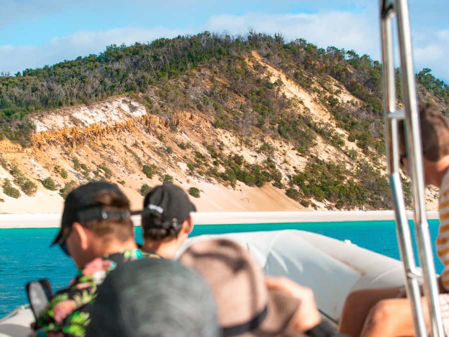 Hervey Bay: Half-Day Whale and Island Adventure by Boat - Platypus Bay is the main event