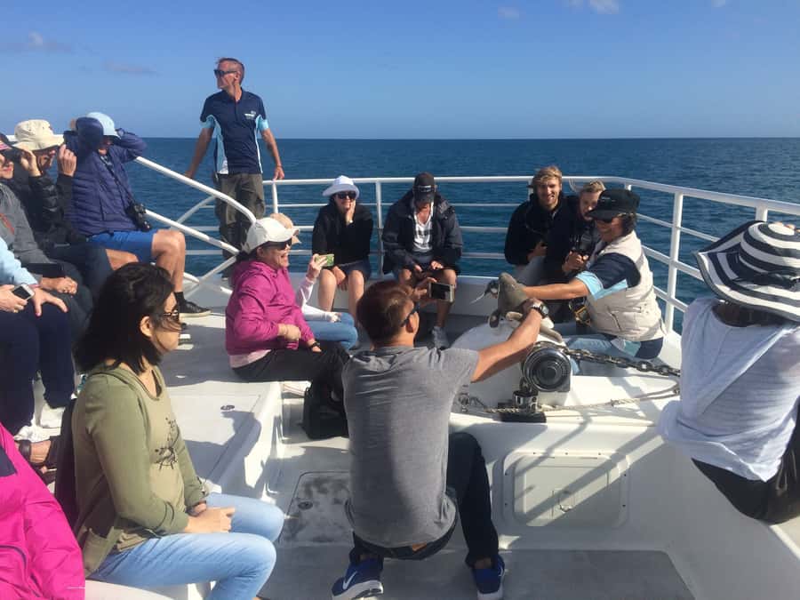 Hervey Bay: Half-Day Whale Watching Cruise with Meal - Reaching Great Sandy Straits Marina