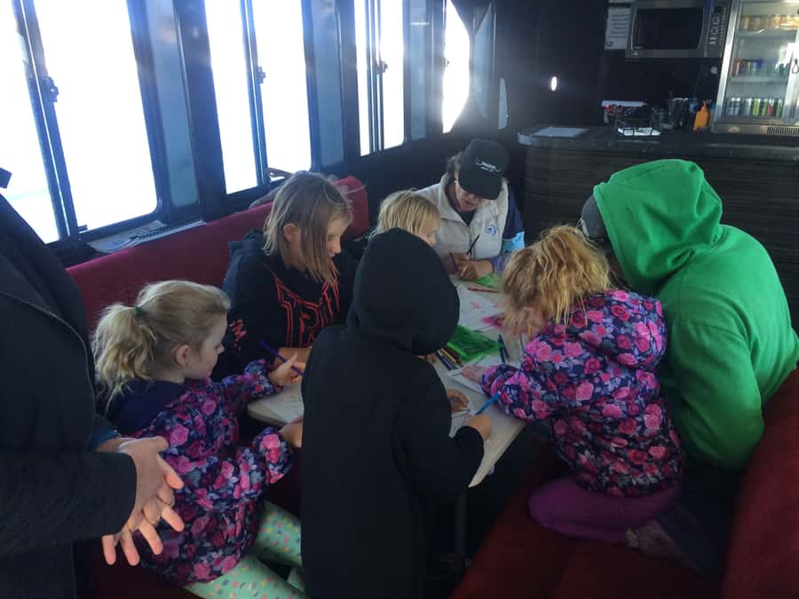Hervey Bay: Half-Day Whale Watching Cruise with Meal - Tea, lunch, and dinner on board