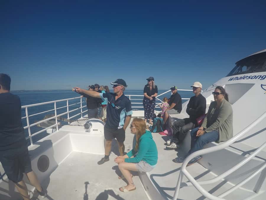 Hervey Bay: Half-Day Whale Watching Cruise with Meal - Commentary and crew service