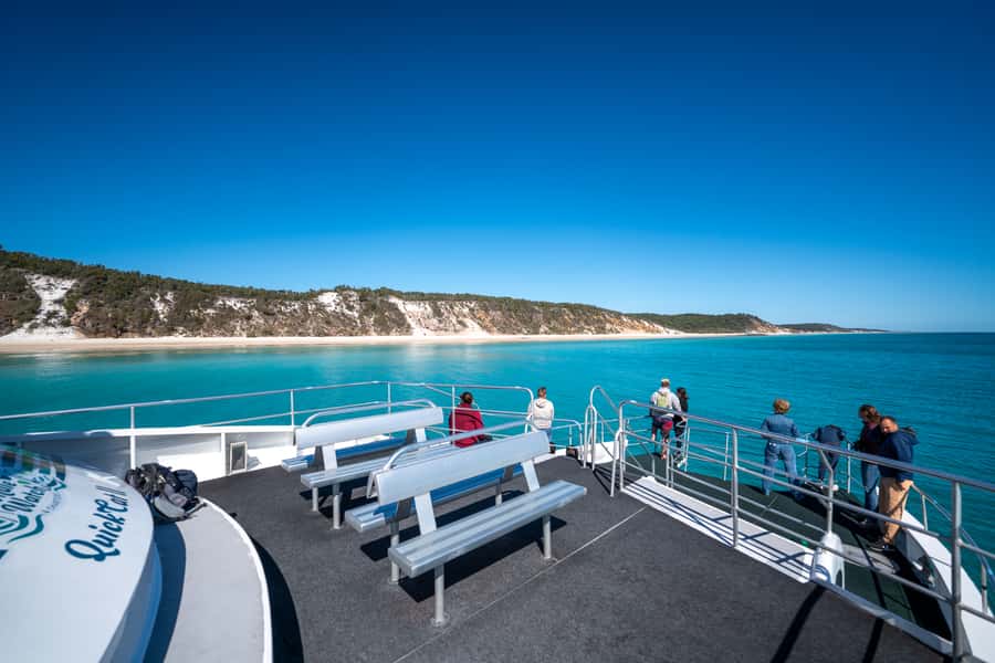 Hervey Bay: Humpback Whale-Watching Half-Day Cruise - Close encounters, calves, and whale behavior