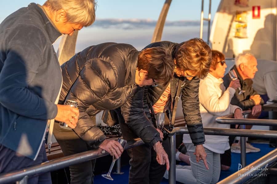 Hervey Bay: Relaxing Sunset Cruise with Champagne and Prawns - Key points to know before booking